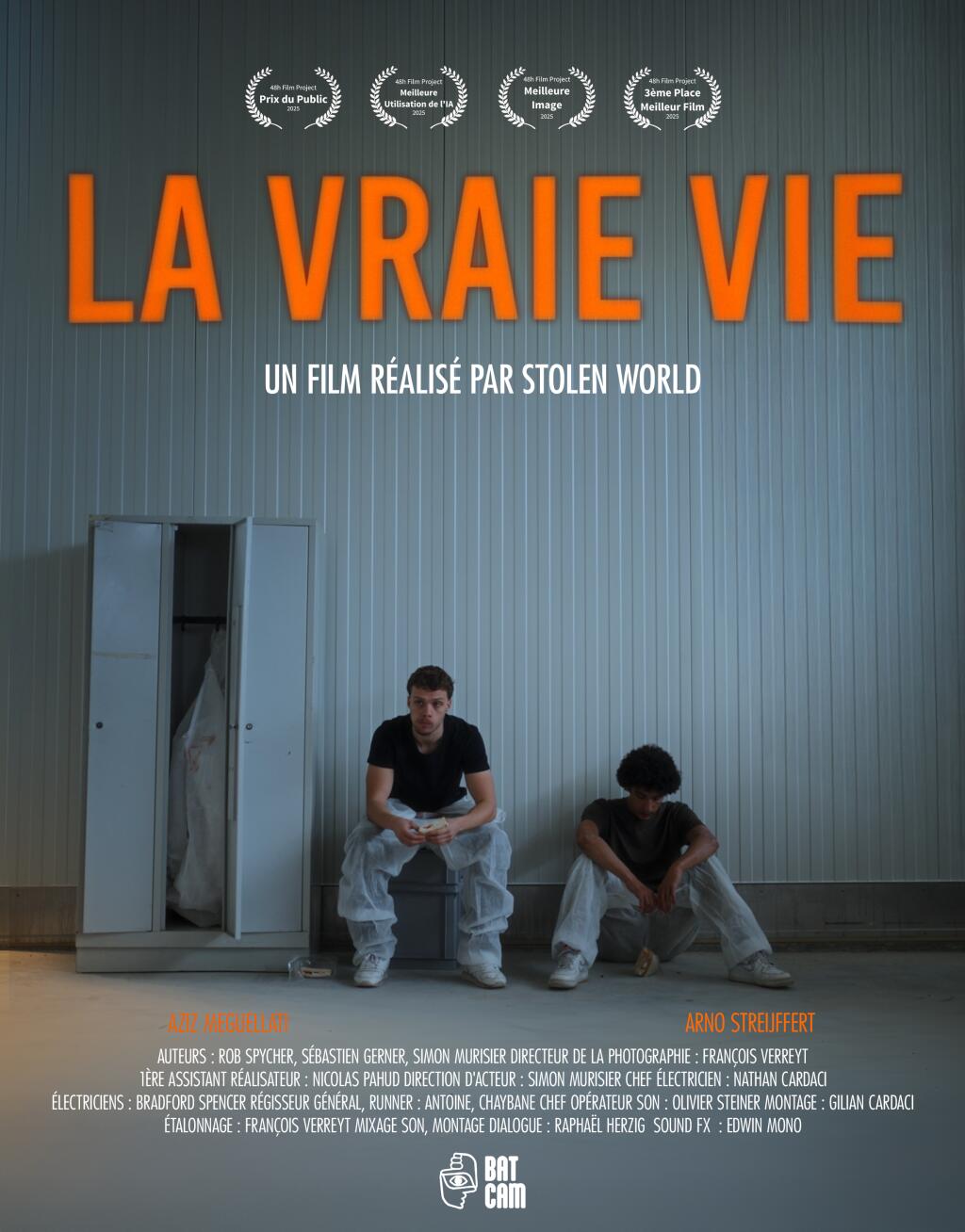 Filmposter for La vraie vie